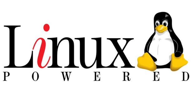 <strong>Linux ںͷź©޸</strong>